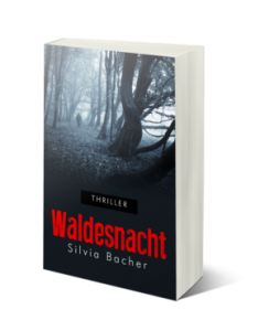 Waldesnacht_3D